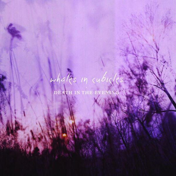 Whales in Cubicles Death in the Evening (Vinyl LP) 12" Album