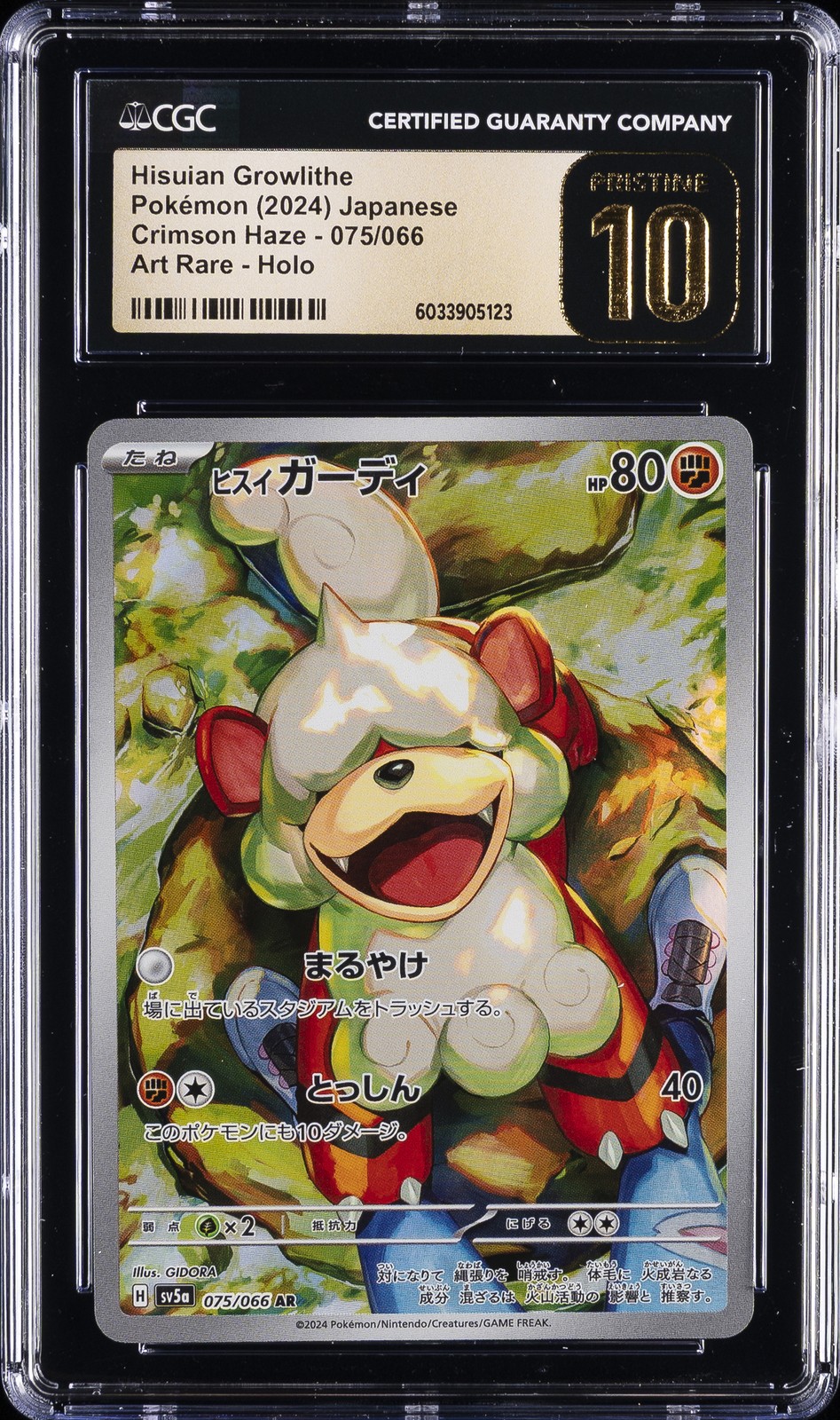 2024 POKEMON JPN CRIMSON HAZE ART RARE - HOLO HISUIAN GROWLITHE CGC 10 PRISTINE - Main Image