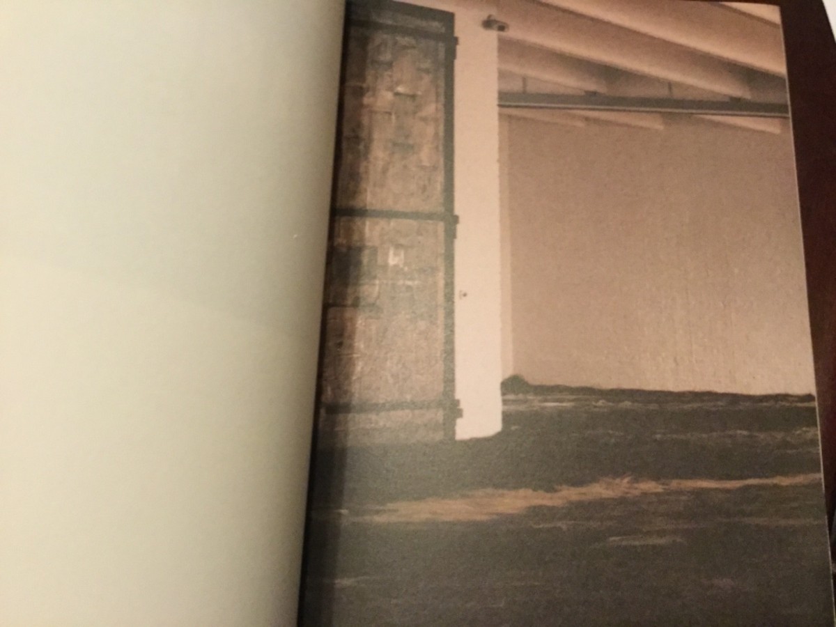Ann Hamilton, Tropos, postmodern art, installation | eBay