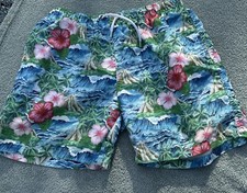 FRANKS Australia OAHU Men  s Floral Print 6  Swim Shorts Trunks Blue/Green/Pink
