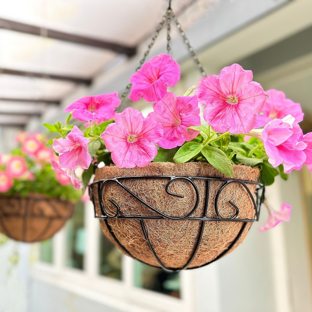 Lalagreen 12 Inch Hanging Planter Basket 2 Pack for Outdoor Plants
