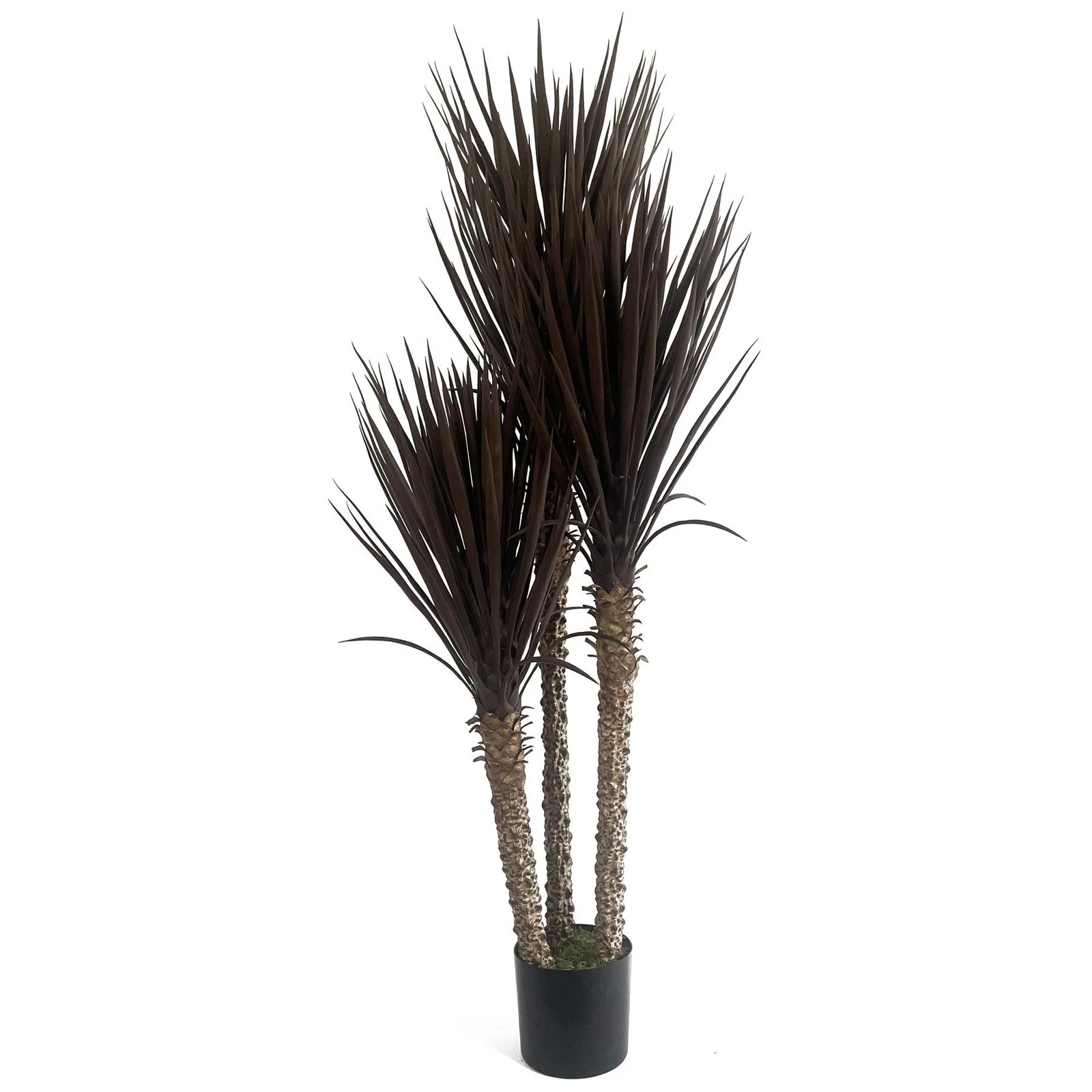 155cm UV Resistant Yukka - 40894