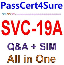 Apple Service Fundamentals SVC-19A Exam Q A SIM