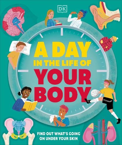 A Day in the Life of Your Body by DK (Hardback Book) - Image 5