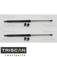 2X Gasfeder FüR Motorhaube Triscan 871013101 2 GasdäMpfer Motorraum
