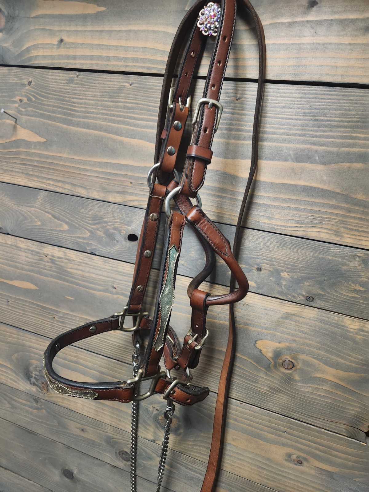 WESTERN SILVER SHOW HALTER YEARLING WITH LEAD