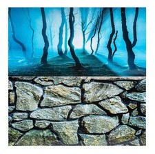 Aquarium Fish Tank Background 2 Sides - 40cm High 2 to 10 FT Lengths