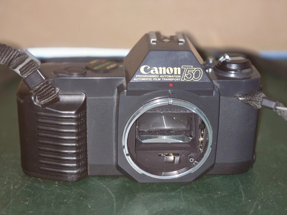 Canon EOS Rebel Ti - Photo, audio & vidéo