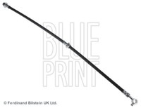 Blue Print ADN153174 Bremsschlauch Vorne Rechts 612 Mm FüR Renault Nissan
