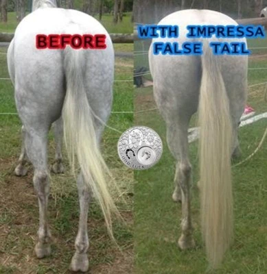 Horse False Tail DOUBLE Cream OZ 80CM 32“ 360g False Horse Tail EXTENDED - Bild 1 von 4