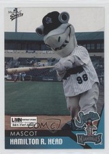2004 MultiAd Sports Jupiter Hammerheads Hamilton R Head #32 0q3
