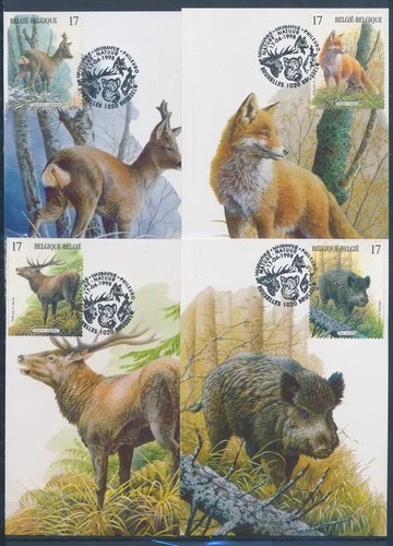 XE62417 Belgium 1998 wildlife animals maxicards used