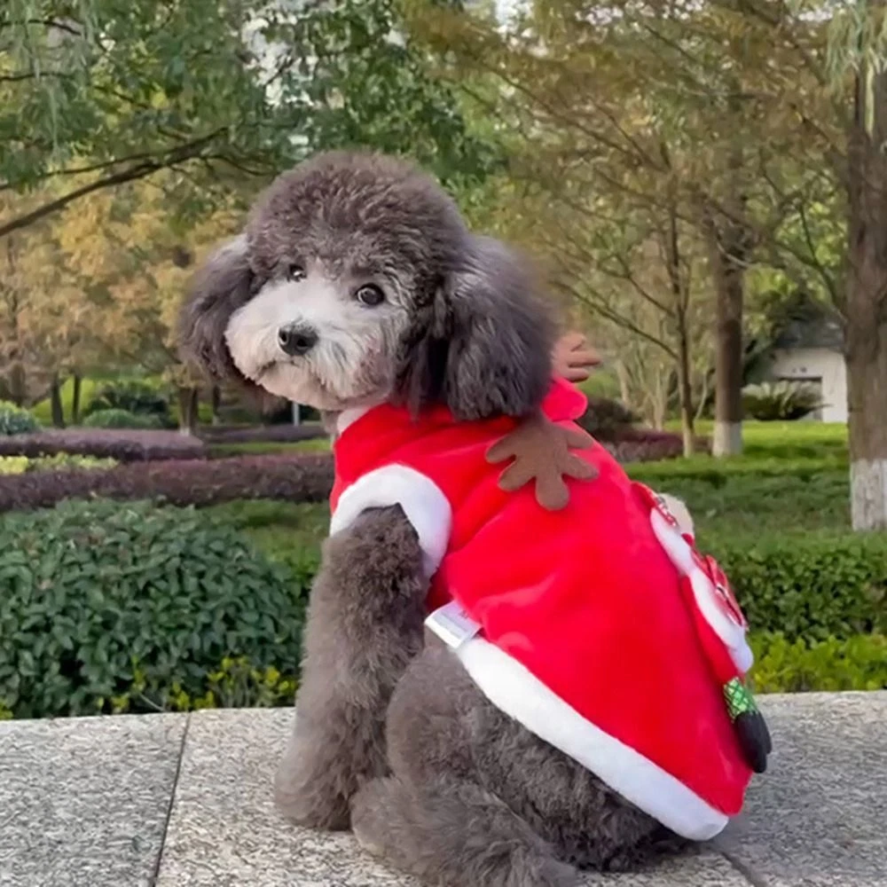 Puppy christmas hotsell clothes