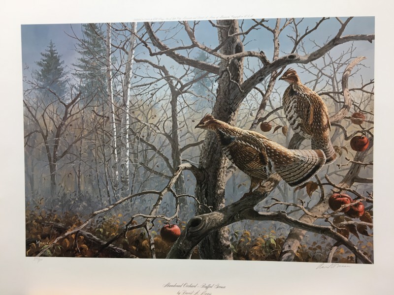 Foto 1 di 1