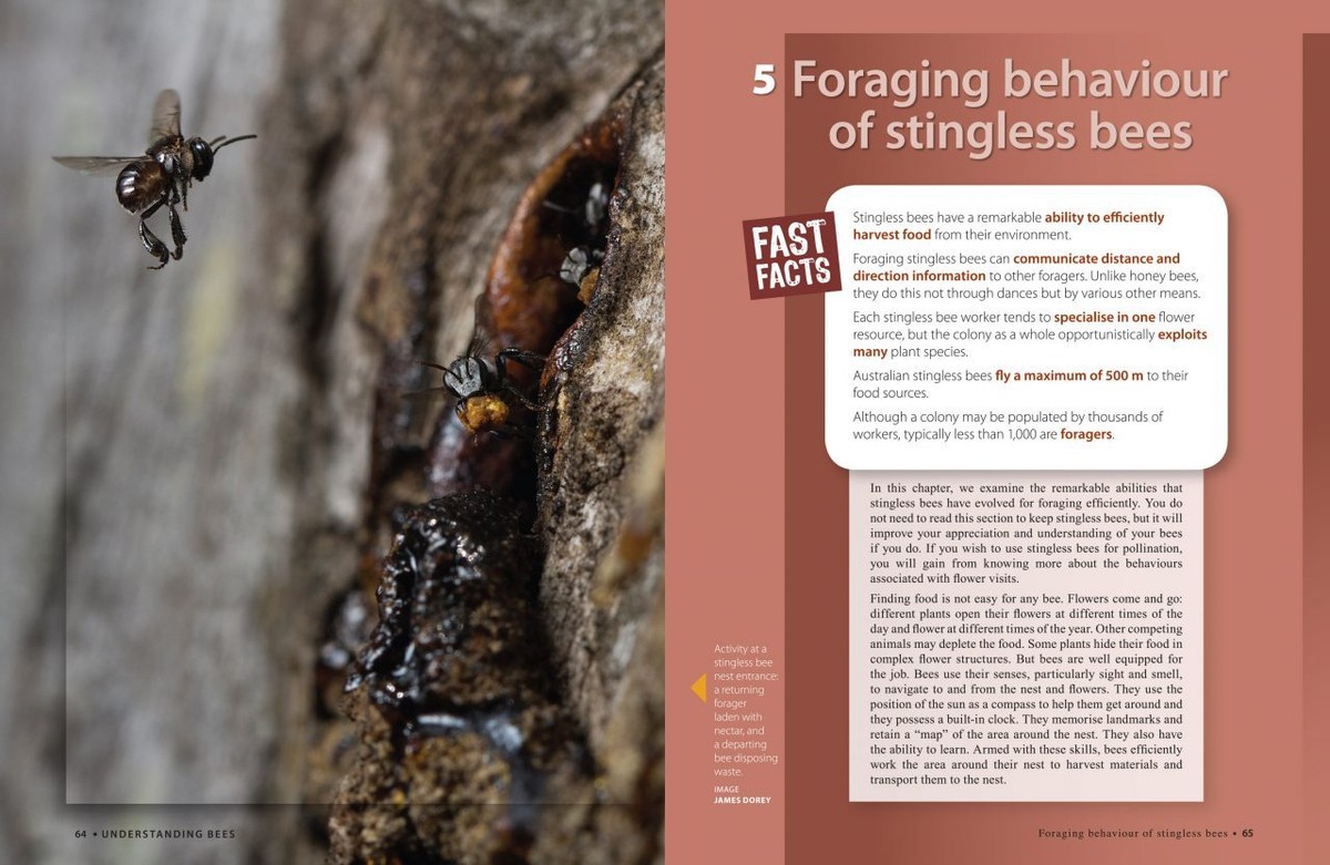 The Australian Native Bee Book: Keeping Stingless Bee Hives Tim