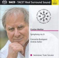 Gustav Mahler (1860-1911): Gustav Mahler (1860-1911) - Symphonie Nr.9 - - (Sa