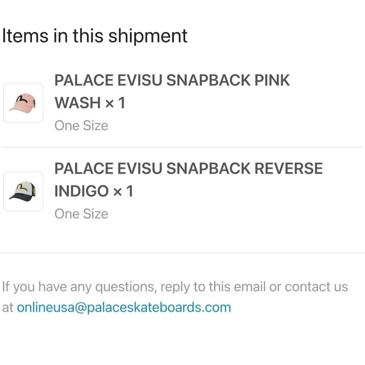 Palace X Evisu Denim SnapBack Reverse Indigo ( SS26 ) | eBay