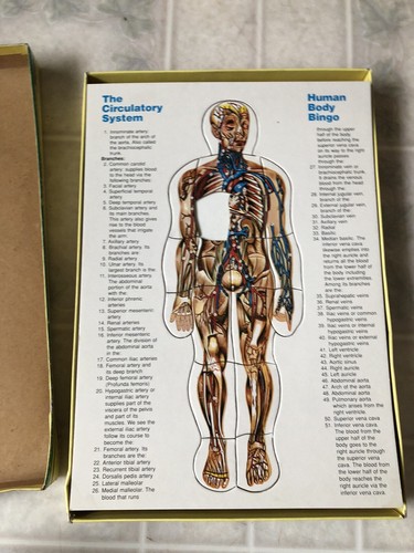 Vintage Human Body Bingo Puzzle , Anatomy Biology Life Science Safari LTD - Picture 2 of 5