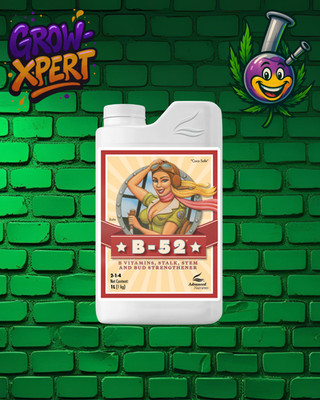 Advanced Nutrients B-52 1L
