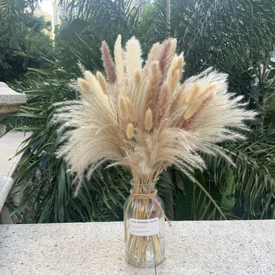 Pampas Grass Decor 110 pcs 17.5inch Natural Dried Pampas Grass-15Pcs White Pa...
