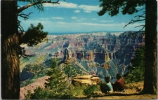 POSTCARD-NORTH RIM OF GRAND CANYON OF THE COLORADO