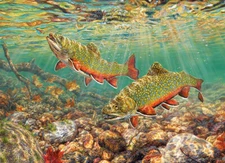 Cobble Hill Brook Trout 1000 Piece Jigsaw Puzzle