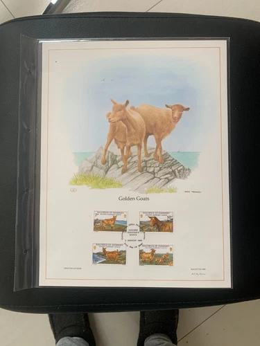 Guernsey Golden Goats FDC panel big size, plastic holder