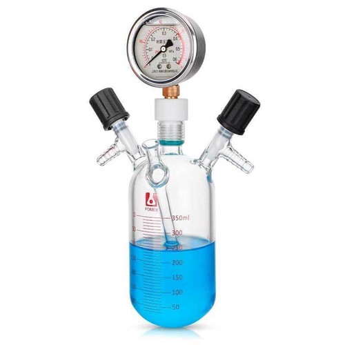 Vacuum Flask with Pressure Gauge 100ml-1000ml Glass Reaction Bottle Lab Use ca - Picture 9 of 11