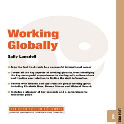 Working Globally Life Work 10.02 Sally Lansdell Paperback John Wi