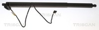 Heckklappen DäMpfer Gasfeder Kofferraum Triscan 8710 11305 FüR BMW X3 F25 Sdrive