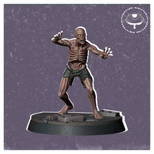 Zombie 1 | Necropolis | Vermillion |  Post Apoc D&D Wargaming 3D Printed Mini