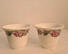 Royal Grafton Egg Cups X2  "Malvern"  Floral Botanical 4.5cm Tall VGC Vintage