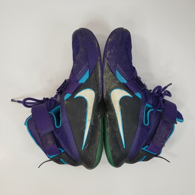 lebron soldier 9 hornets