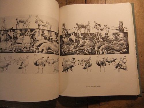 Francis Lee Jaques Artist of the Wilderness World first edition HB - Picture 4 of 4