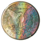 1887-P NGC MS63 MORGAN $ GORGEOUS BRIGHT RAINBOW TONING (VIDEO} **
