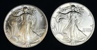 Lot Of 2 1988 American Silver Eagles .999 Fine Coins 2 Oz Total, No Reserve #423