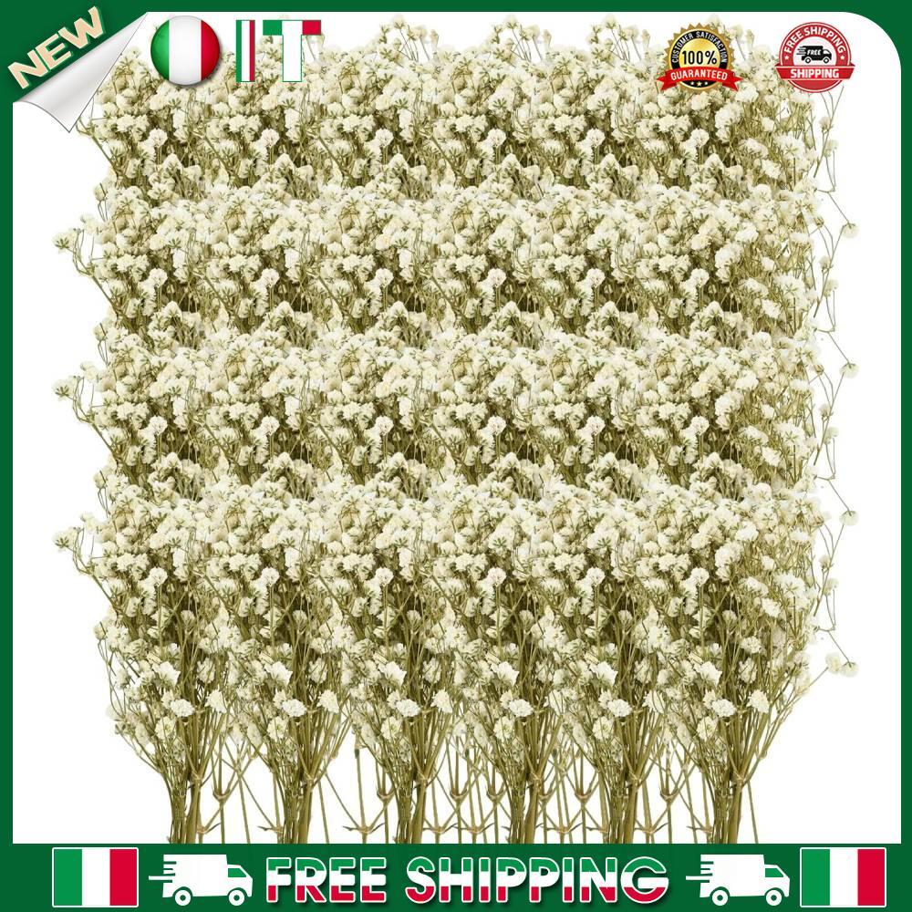 A 150Pcs Mini Dried Babys Breath Flowers for Home Vase Decor eBay