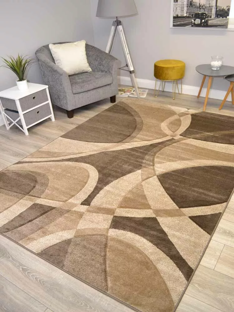 Large 2024 floor rugs
