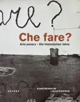 Che fare? Arte povera | N/Disch, M/Grenier, C u a Bätzner | Buch | 384 S. | 2010