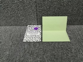 Dragon's Lair Famicom NES Epic Sony 1991 Japan Boxed Manual Rare Classic Game