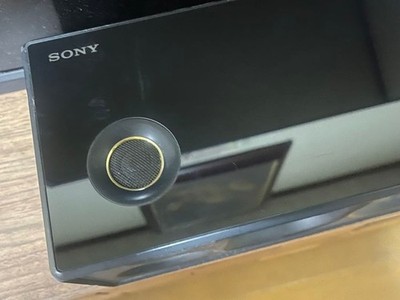 Sony SRS-X99 Bluetooth Wireless Speaker - Black for sale online | eBay