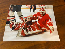 Tim Cheveldae Autographed Photo NHL Redwings  W/COA