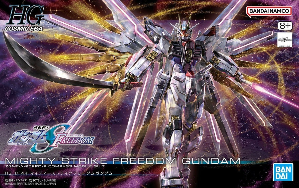 HG High Grade 250 Gundam Seed Mighty Strike Freedom Gundam model