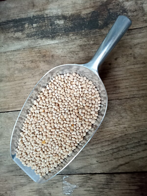 8,99 /kg 1kg Lupine Karo blau Bitterlupine blau Bienenweide Gründüngung