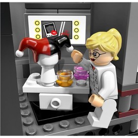 3-5 Day Ship, LEGO Super Heroes Arkham Asylum Breakout (10937)
