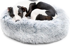 2-in-1 Memory Foam Donut Pet Bed with Toy, Orthopedic Machine Washable