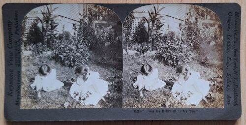 Edwardian Stereo View "I Dess (Guess) He Didn't Sting My Toes" 2 Little Girls - Picture 1 of 1