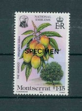 MONTSERRAT FLORA FRUIT MANGO PATTERN!! FRUITS FRUIT SPECIMEN!! h2322