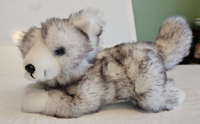 SIBERIAN HUSKY PLUSH 12  SUPER CUTE!! ( LITTLE BROWNIE)