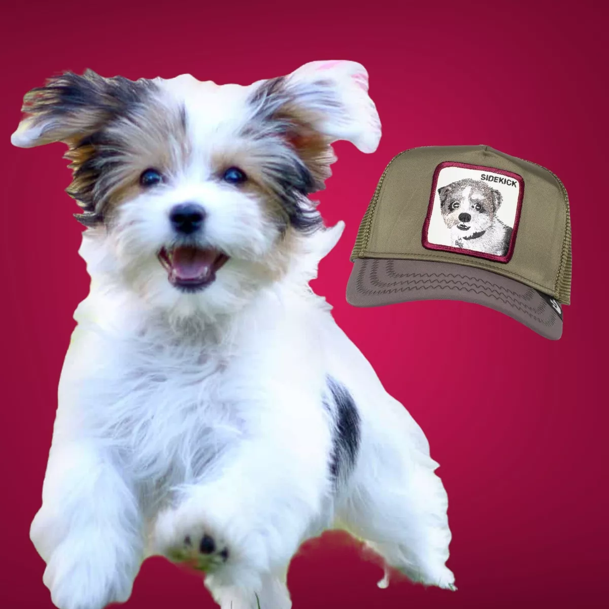 Goorin Bros Animal Farm Trucker Hat Cap Fowler s Favorite Sidekick Dog Capsule
